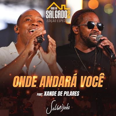 Onde Andará Você By Salgadinho, Xande De Pilares's cover