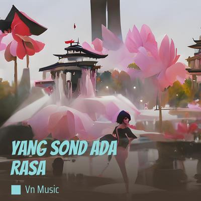 Vn Music's cover
