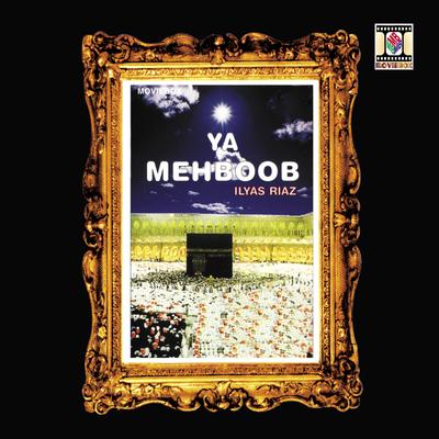 Ya Mehboob (Naat)'s cover