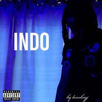 INDO's cover