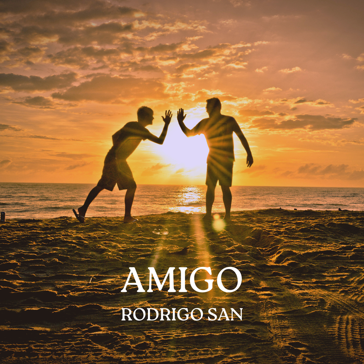 Rodrigo San's avatar image