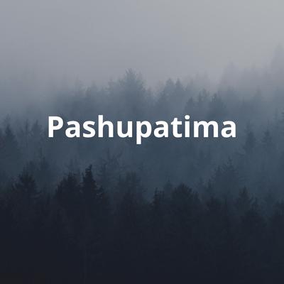 Pashupatima's cover