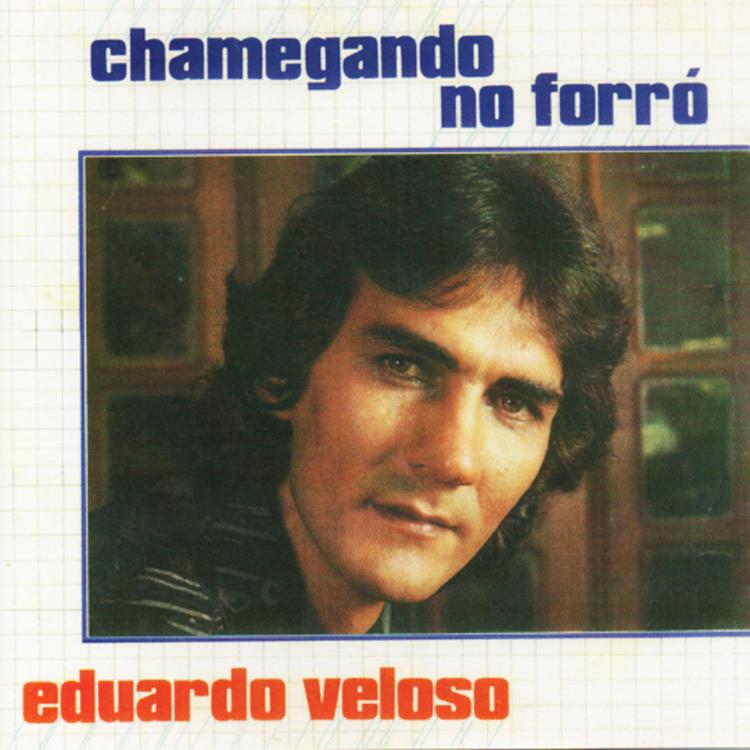 Eduardo Veloso's avatar image