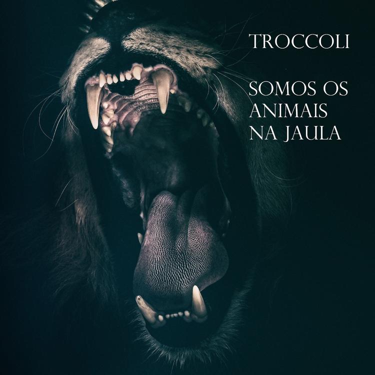 Troccoli's avatar image