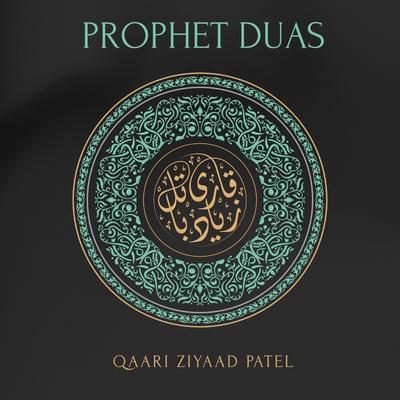 DUAS OF THE PROPHETS's cover
