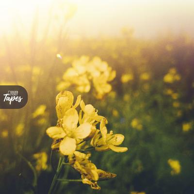 Springdays By Phlocalyst, Living Room, Golden Ticket Tapes's cover
