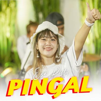 Pingal's cover