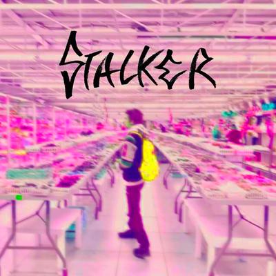 Stalker (Remix)'s cover