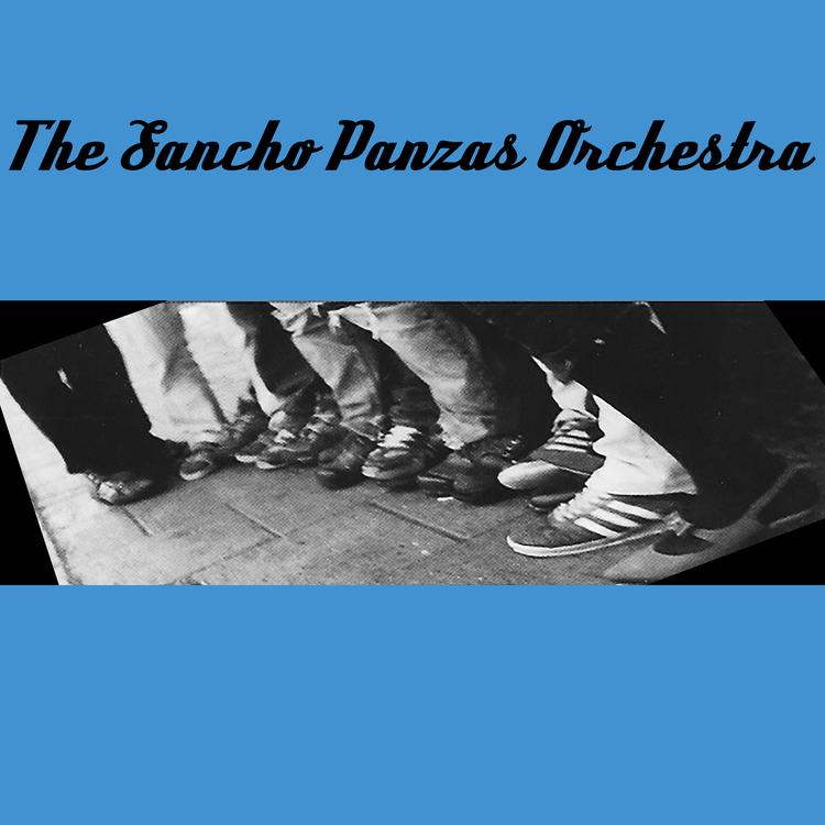 The Sancho Panzas Orchestra's avatar image