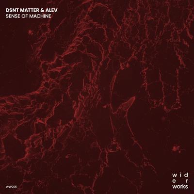 Sense of Machine By Dsnt Matter, Alev's cover