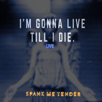 Spank Me Tender's cover