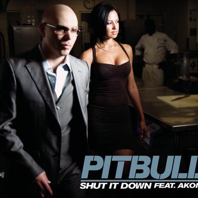 Shut It Down (feat. Akon) By Pitbull, Akon's cover