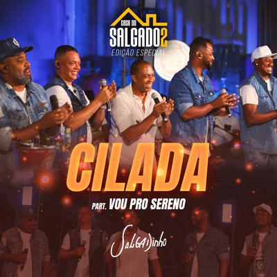 Cilada (feat. Vou Pro Sereno) By Salgadinho, Vou pro Sereno's cover