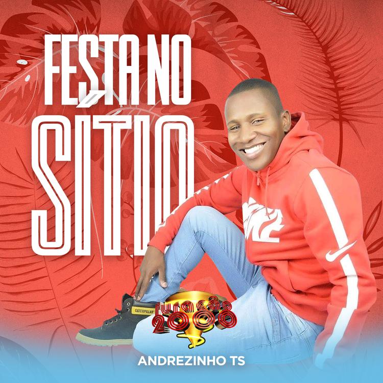 Andrezinho Ts's avatar image