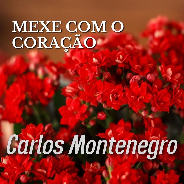 Carlos Montenegro's avatar image