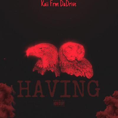 Kaii Frm DaDrive's cover