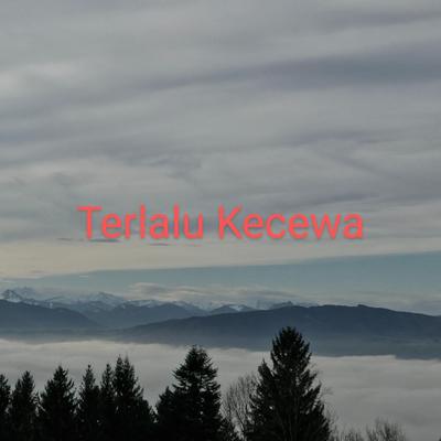 Terlalu Kecewa's cover