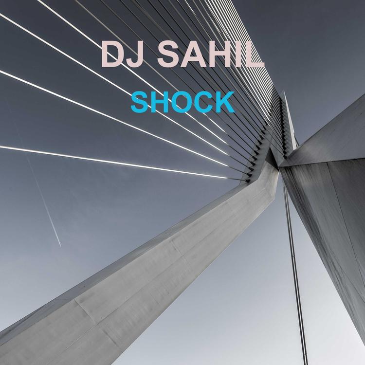 DJ SAHIL's avatar image