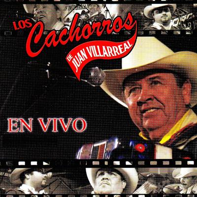 Regalo Caro (En Vivo) By Los Cachorros De Juan Villarreal's cover