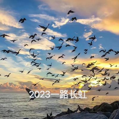 2023一路长虹's cover