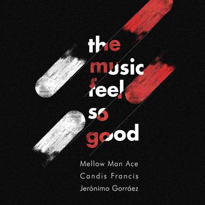 The Music Feels So Good's cover