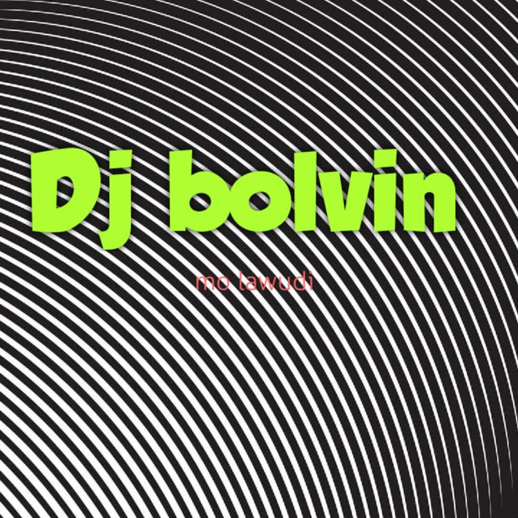 Dj bolvin's avatar image