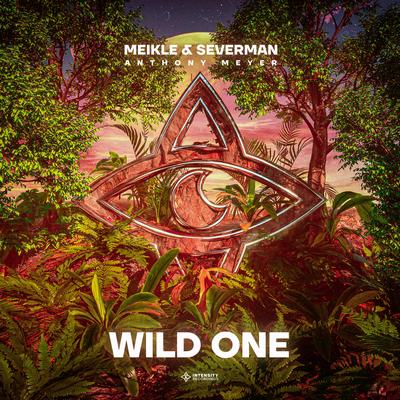 Wild One By Severman, Anthony Meyer, Meikle's cover