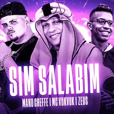 Sim Salabim's cover