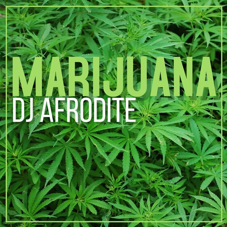DJ Afrodite's avatar image