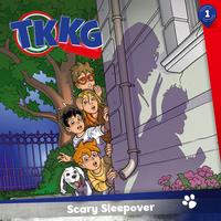 TKKG - Junior Investigators's avatar cover