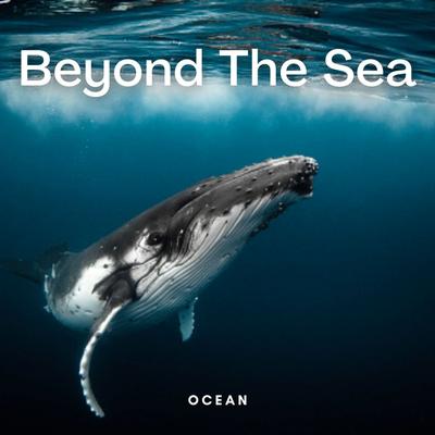 Carefree Drive By Ocean Sounds Plus, Sleeping Ocean, Water Science's cover