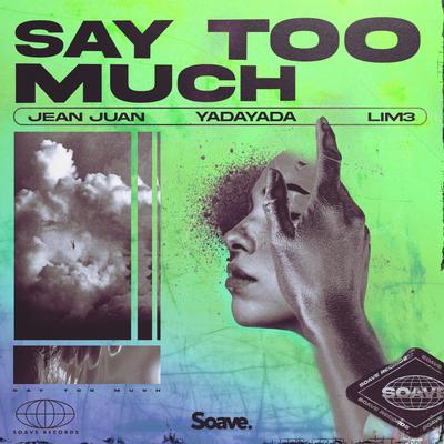 Say Too Much's cover
