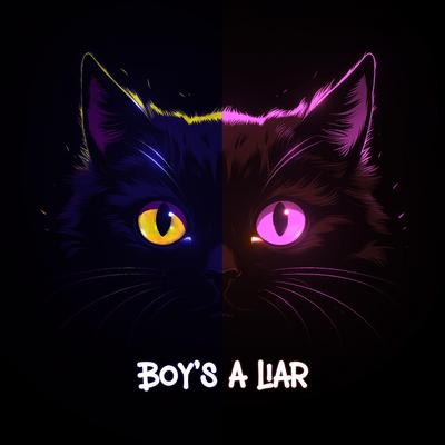 Boy's a Liar (Sped Up / Slowed)'s cover