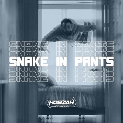 SNAKE IN PANTS's cover