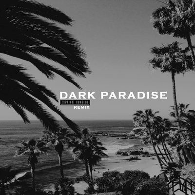 Dark Paradise (Remix)'s cover