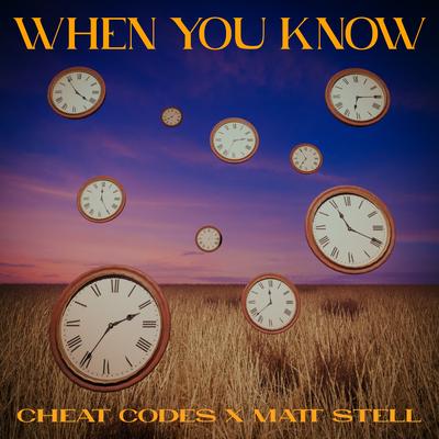 When You Know By Cheat Codes, Matt Stell's cover