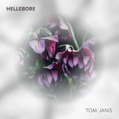 Hellebore By Tom Janis's cover