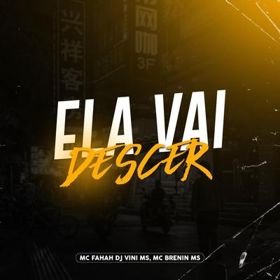 MTG ELA VAI DESCER By DJ VINI MS, Mc Brenin Ms, MC Fahah's cover