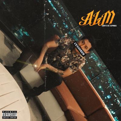 Alm's cover