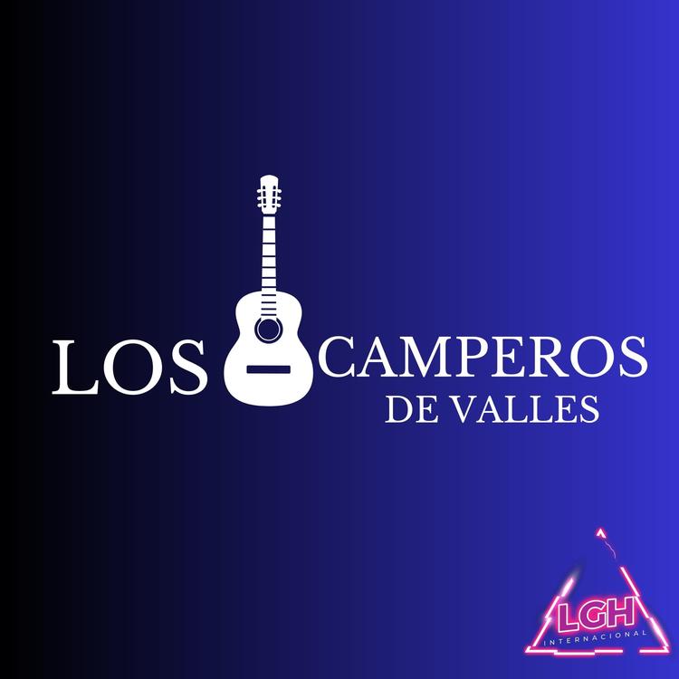 Los Camperos de Valles's avatar image
