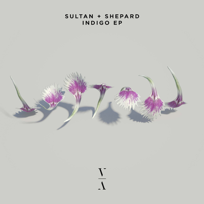 Indigo By Sultan + Shepard's cover