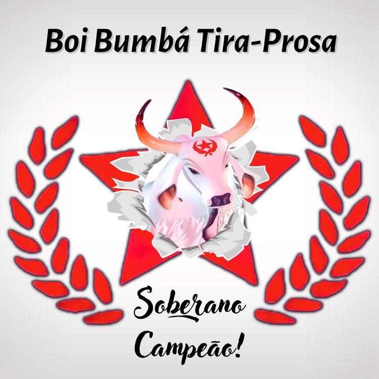 Boi Bumbá Tira Prosa's avatar image