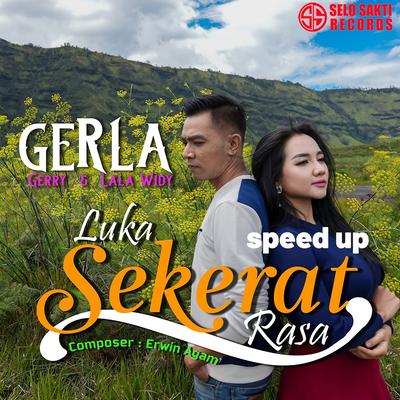 Luka Sekerat Rasa (Speed Up)'s cover