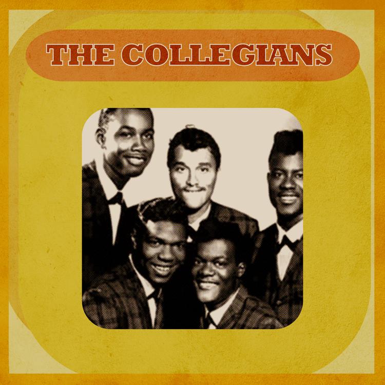 The Collegians's avatar image