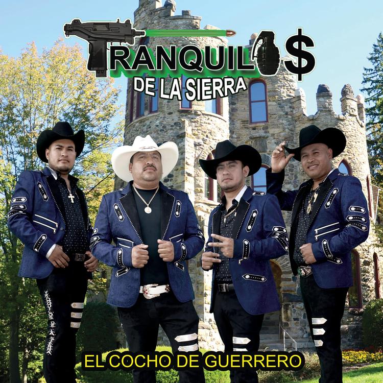 TRANQUILOS DE LA SIERRA's avatar image