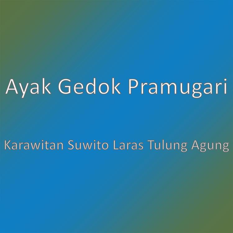 Ayak Gedok Pramugari's avatar image