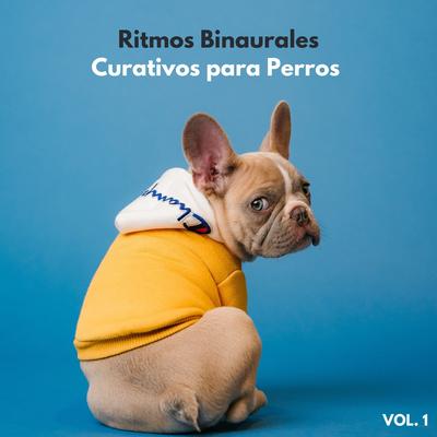 Ritmo Binaural's cover