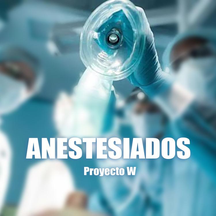 Proyecto W's avatar image