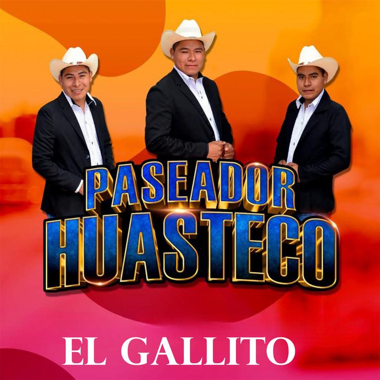 PASEADOR HUASTECO's avatar image