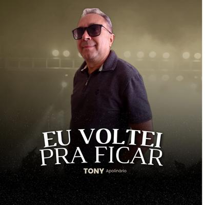 Eu Voltei pra Ficar's cover